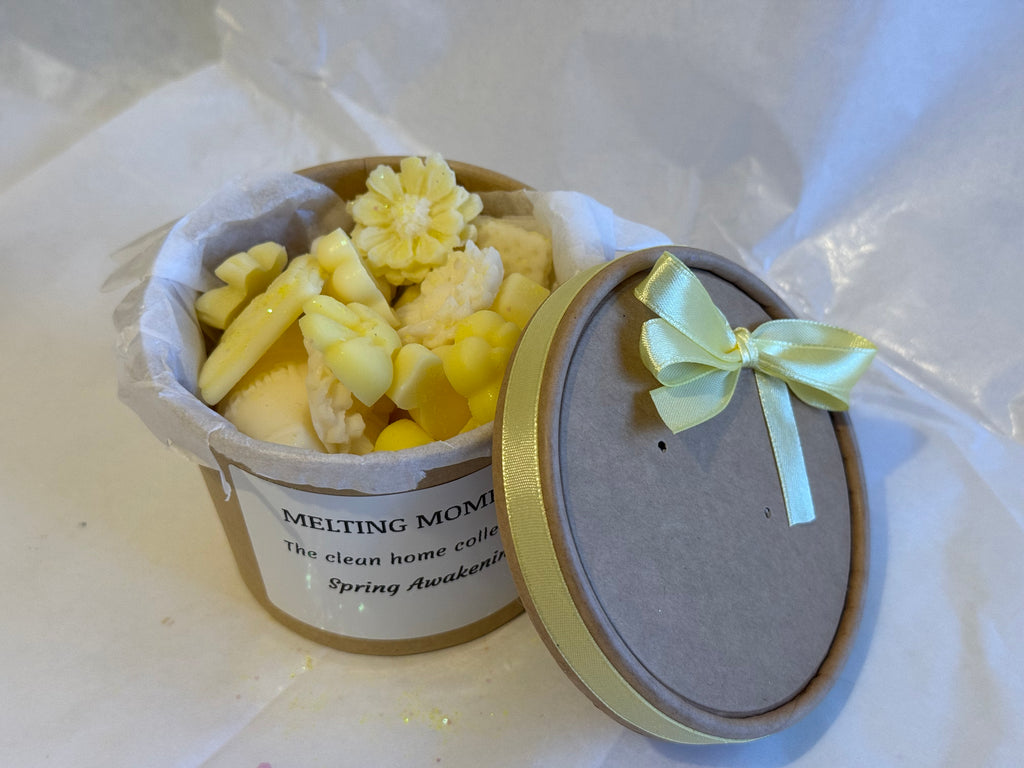 Hinch inspired wax melt scoopies