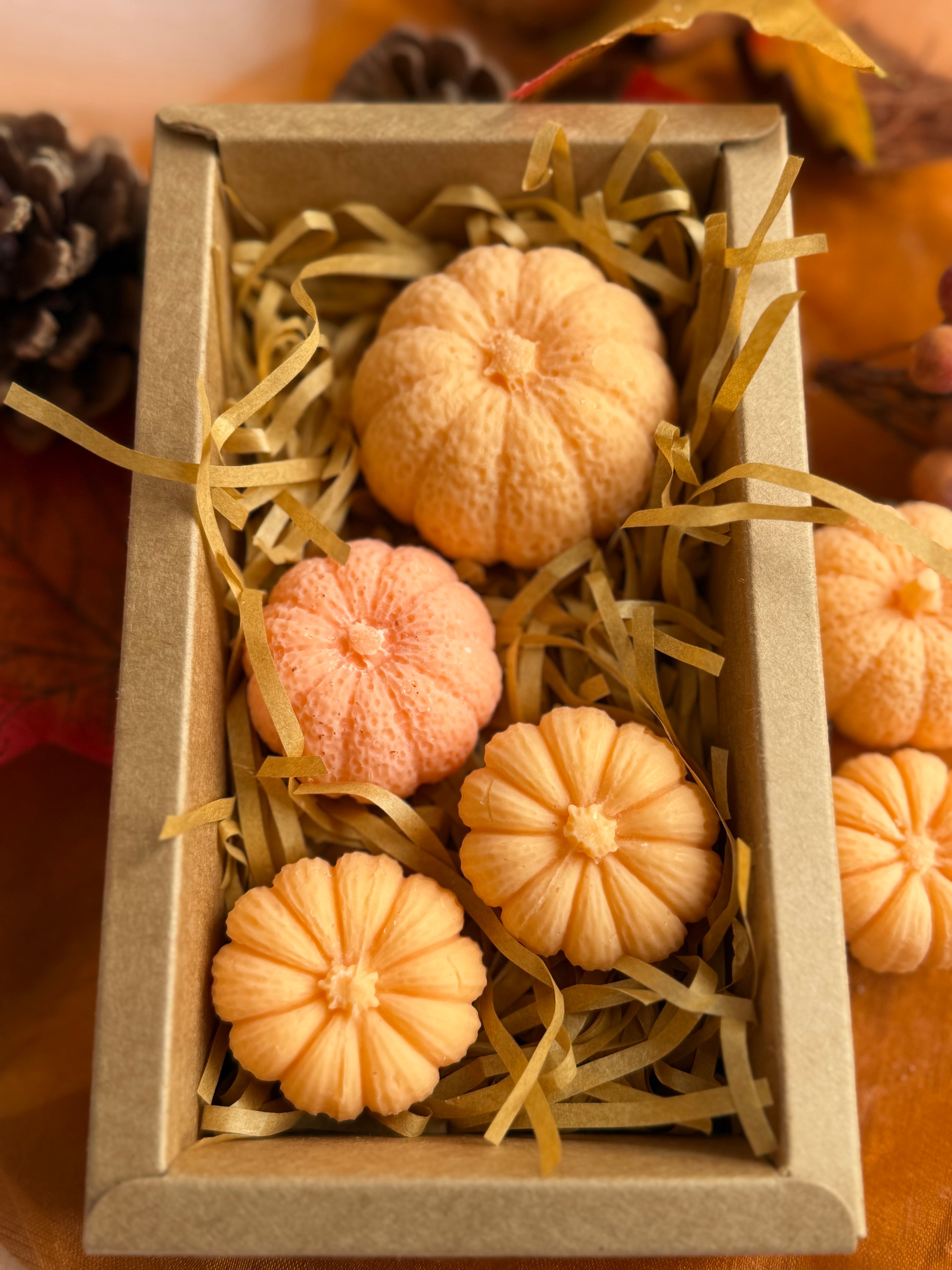Hand-Poured Pumpkin Patch Soy Wax Melts