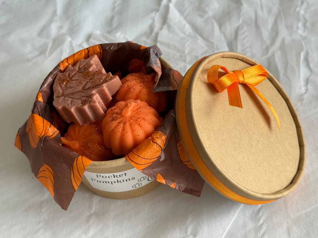 Pocket Pumpkins Wax Melts 🎃